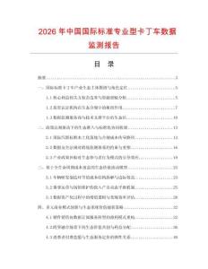 2026年中国国际标准专业型卡丁车数据监测报告.docx
