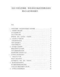 2025中国光伏储能一体化系统市场前景预测及商业模式与竞争格局报告.docx