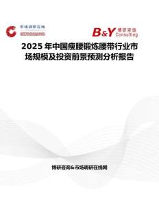 2025年中国瘦腰锻炼腰带行业市场规模及投资前景预测分析报告