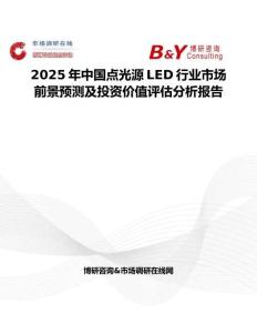 2025年中国点光源LED行业市场前景预测及投资价值评估分析报告
