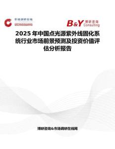 2025年中国点光源紫外线固化系统行业市场前景预测及投资价值评估分析报告
