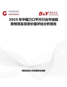 2025年中国刀口平尺行业市场前景预测及投资价值评估分析报告