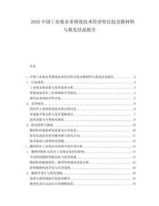 2025中国工业废水零排放技术经济性比较及膜材料与蒸发结晶报告.docx