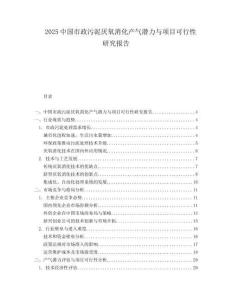 2025中国市政污泥厌氧消化产气潜力与项目可行性研究报告.docx