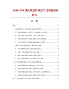 2026年中国风筝旋转柄皮市场调查研究报告