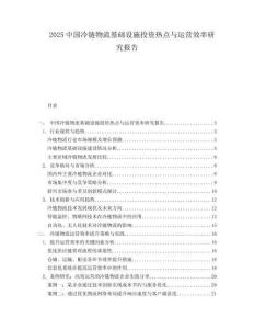 2025中国冷链物流基础设施投资热点与运营效率研究报告.docx