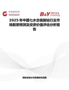 2025年中国七水合硫酸钴行业市场前景预测及投资价值评估分析报告