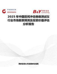 2025年中国匝间冲击绝缘测试仪行业市场前景预测及投资价值评估分析报告