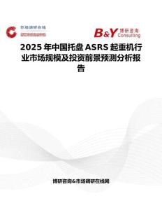 2025年中国托盘ASRS起重机行业市场规模及投资前景预测分析报告
