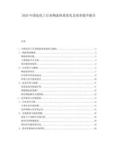 2025中国盐化工行业物流体系优化及效率提升报告.docx