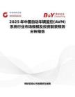 2025年中国自动车辆监控(AVM)系统行业市场规模及投资前景预测分析报告