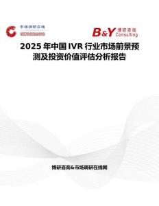 2025年中国IVR行业市场前景预测及投资价值评估分析报告