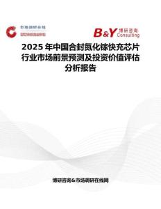 2025年中国合封氮化镓快充芯片行业市场前景预测及投资价值评估分析报告