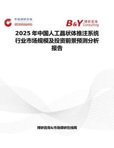 2025年中国人工晶状体推注系统行业市场规模及投资前景预测分析报告