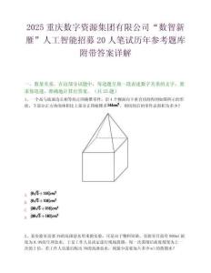 2025重庆数字资源集团有限公司“数智新雁”人工智能招募20人笔试历年参考题库附带答案详解.docx