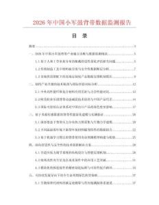 2026年中国小军鼓背带数据监测报告.docx