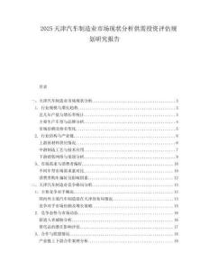 2025天津汽车制造业市场现状分析供需投资评估规划研究报告.docx
