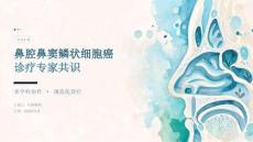 鼻腔鼻窦鳞状细胞癌诊疗专家共识