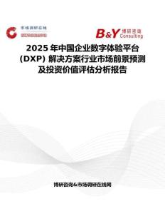 2025年中国企业数字体验平台 (DXP) 解决方案行业市场前景预测及投资价值评估分析报告