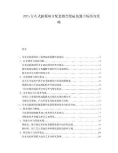 2025分布式能源项目配套微型脱硫装置市场培育策略.docx