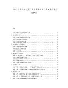 2025台北智慧城市行业供需格局及投资策略规划研究报告.docx