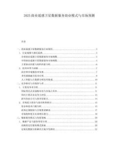 2025商业遥感卫星数据服务商业模式与市场预测.docx