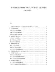 2025固态电池电解质材料技术路线对比与供应链安全评估报告.docx