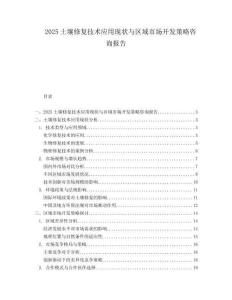 2025土壤修复技术应用现状与区域市场开发策略咨询报告.docx