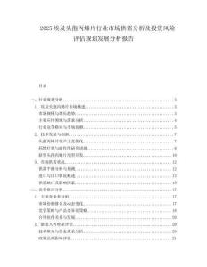 2025埃及头孢丙烯片行业市场供需分析及投资风险评估规划发展分析报告.docx