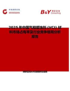 2025年中国气相缓蚀剂 (VCI) 材料市场占有率及行业竞争格局分析报告
