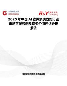 2025年中国AI软件解决方案行业市场前景预测及投资价值评估分析报告