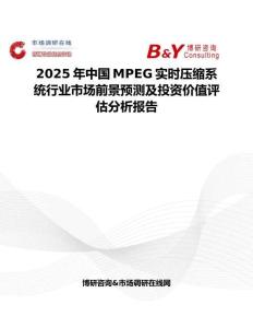 2025年中国MPEG实时压缩系统行业市场前景预测及投资价值评估分析报告