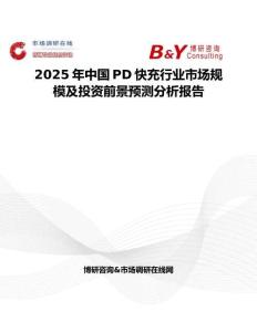 2025年中国PD快充行业市场规模及投资前景预测分析报告