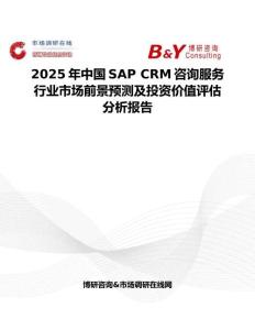 2025年中国SAP CRM咨询服务行业市场前景预测及投资价值评估分析报告
