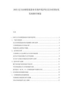 2025安圭拉邮轮旅游业市场环境评估及企业国际化发展路径规划.docx