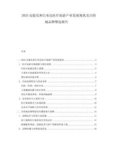 2025安提瓜和巴布达医疗旅游产业发展现状及目的地品牌塑造报告.docx
