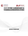 2025年中国工业重型防坠器行业市场规模及投资前景预测分析报告