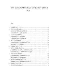 2025巴西生物燃料政策支持与产能扩张可行性研究报告.docx