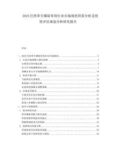 2025巴西草甘磷除草剂行业市场现状供需分析及投资评估规划分析研究报告.docx