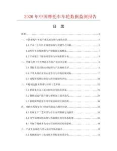 2026年中国摩托车车轮数据监测报告.docx