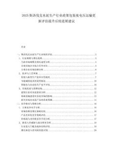 2025斯洛伐克水泥生产行业政策包装夜电压运输更新评估提升后续进展建议.docx