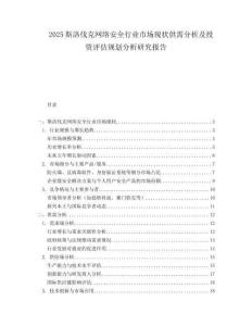 2025斯洛伐克网络安全行业市场现状供需分析及投资评估规划分析研究报告.docx