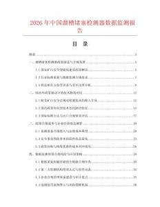 2026年中国溜槽堵塞检测器数据监测报告.docx