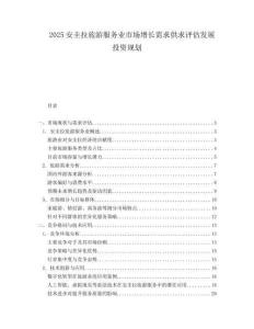 2025安圭拉旅游服务业市场增长需求供求评估发展投资规划.docx