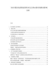 2025煤改电政策延续性对北方热水器市场格局影响分析.docx