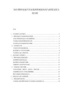 2025燃料电池汽车加氢网络规划布局与政策支持力度分析.docx