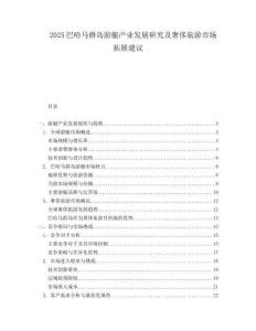 2025巴哈马群岛游艇产业发展研究及奢侈旅游市场拓展建议.docx