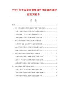 2026年中国聚丙烯管道带锈防腐底漆数据监测报告.docx