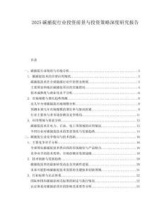 2025碳捕捉行业投资前景与投资策略深度研究报告.docx