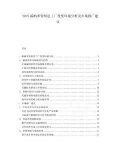2025碳纳米管制造工厂投资环境分析及市场推广建议.docx